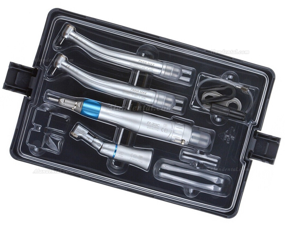 Dental High and Low Speed Handpiece Kit Push Button Type with Air Motor 2 Holes